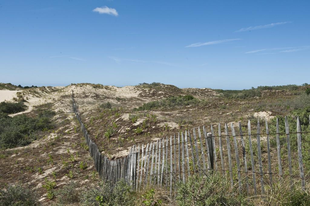 Evancy Etoile Des Dunes Bray-Dunes Exteriör bild