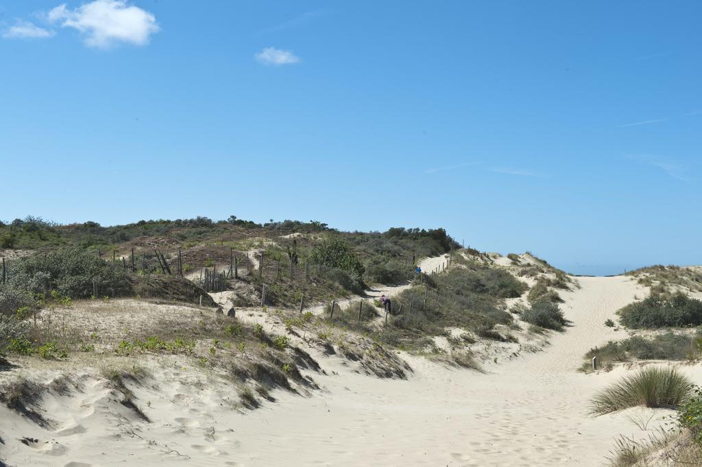 Evancy Etoile Des Dunes Bray-Dunes Exteriör bild