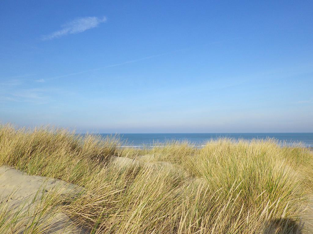Evancy Etoile Des Dunes Bray-Dunes Exteriör bild