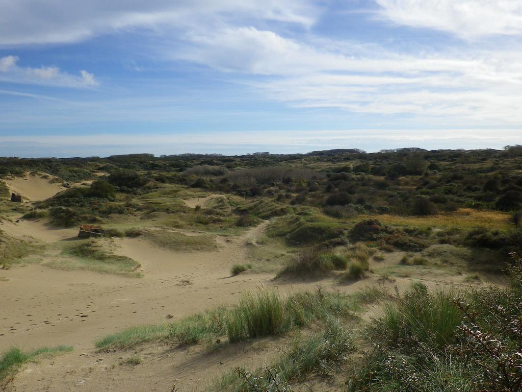 Evancy Etoile Des Dunes Bray-Dunes Exteriör bild